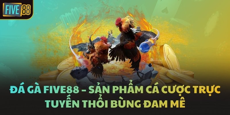 Đá gà FIVE88 – Sản phẩm cá cược trực tuyến thổi bùng đam mê